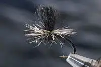 Black Parachute Midge fishing fly